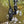 FFS Carbon Fiber Transducer Pole Combo