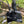 FFS Carbon Fiber Transducer Pole Combo
