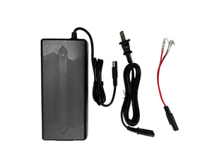 6A Battery Charger - For Lithium NMC batteries only!